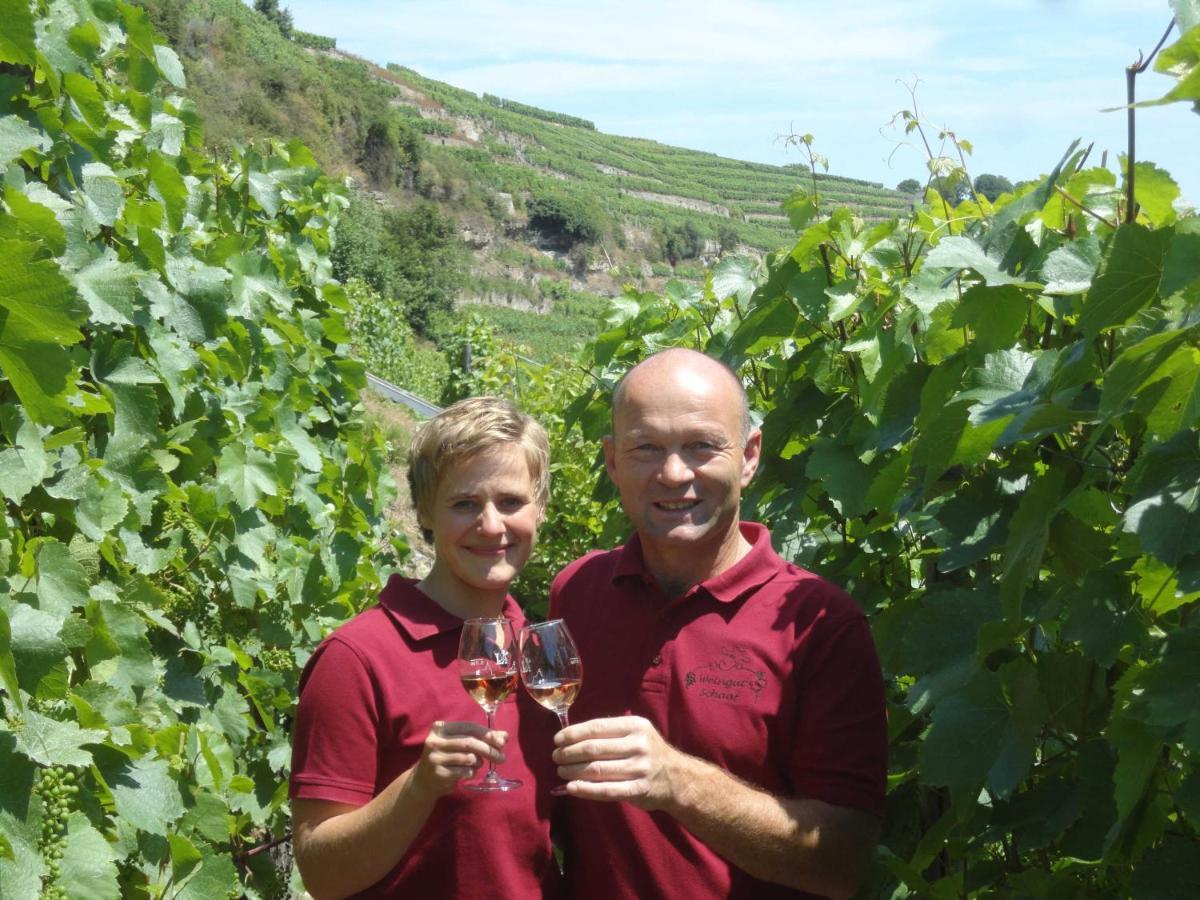 Апартаменты Weingut Schaaf Лауффен-ам-Неккар Экстерьер фото