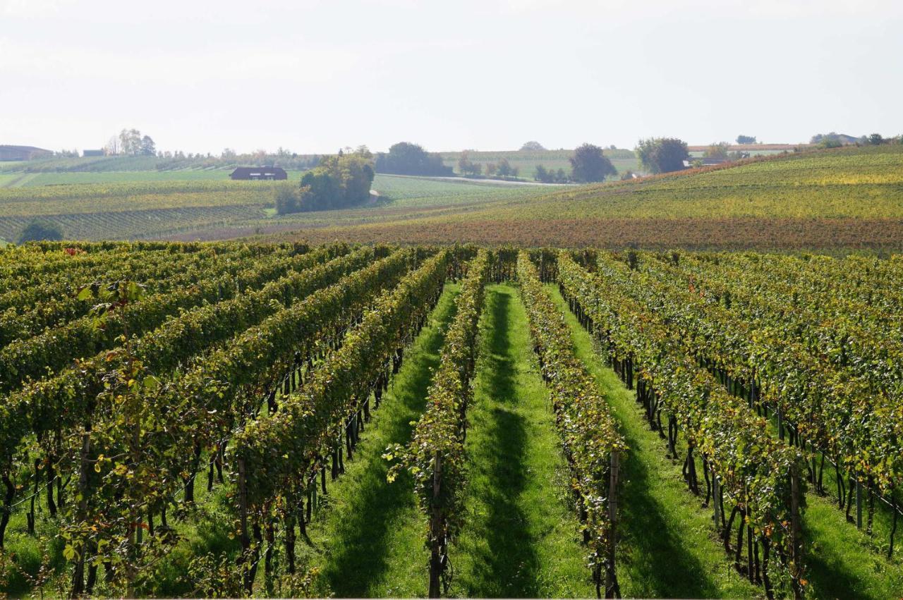 Апартаменты Weingut Schaaf Лауффен-ам-Неккар Экстерьер фото